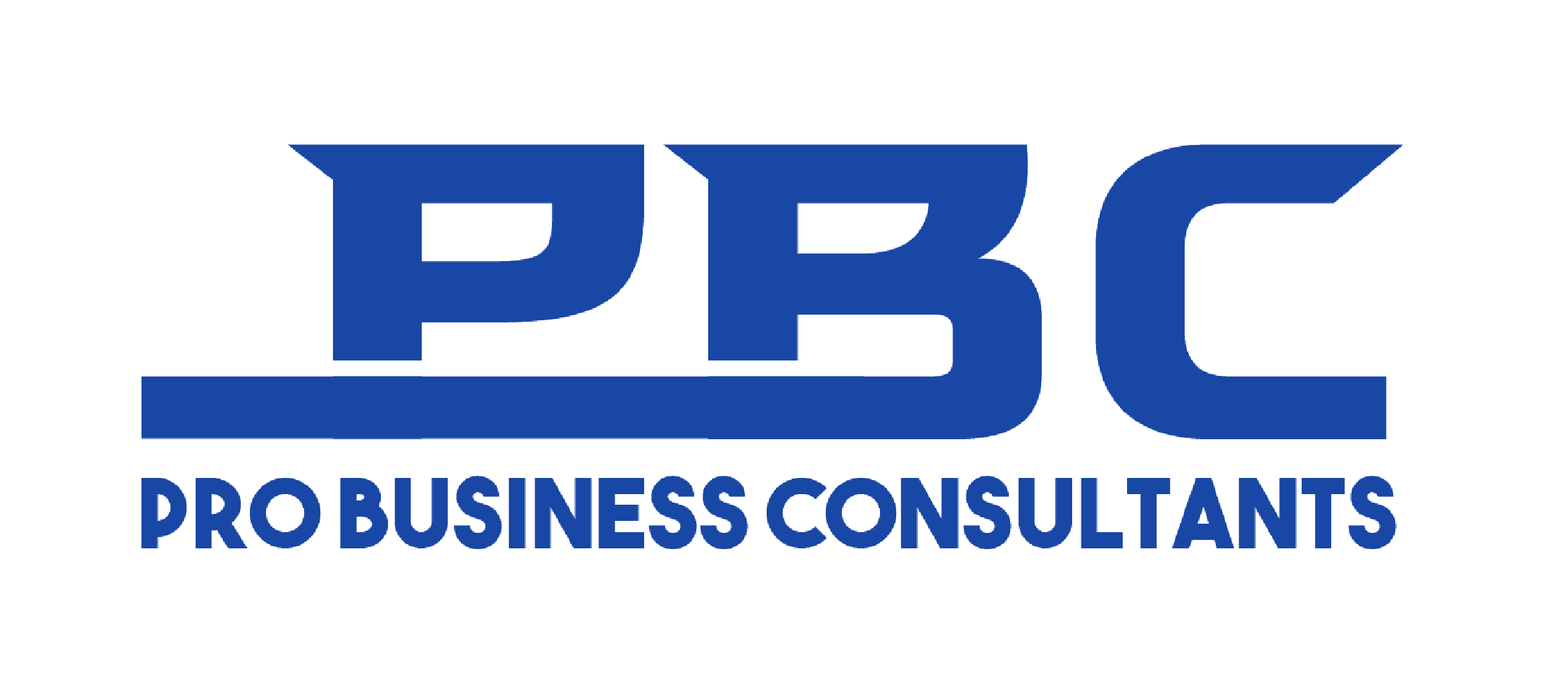 Pro Business Consultants